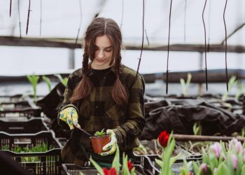 The Future of Food: How Agriculture is Evolving