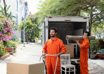 Professional Movers In Dubai