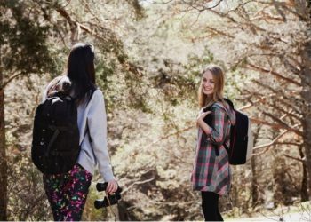 What Are the Prime Seasons for Joshua Tree Hikes?