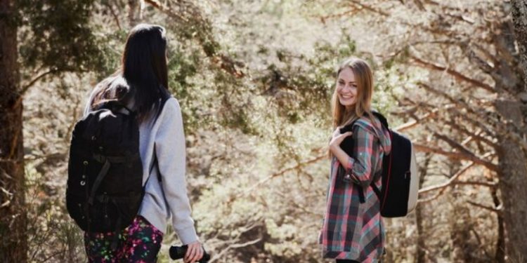 What Are the Prime Seasons for Joshua Tree Hikes?