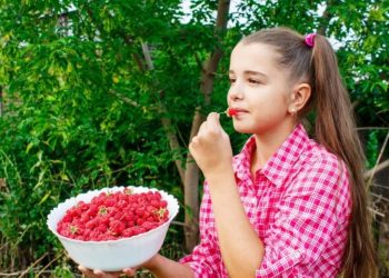 Health Benefits of Berberine And Who Should Take It