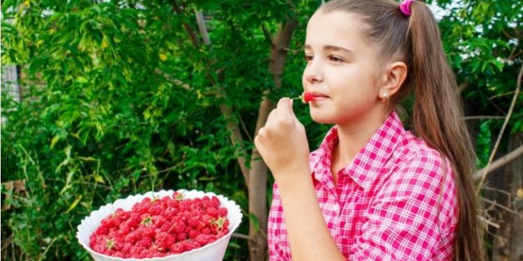 Health Benefits of Berberine And Who Should Take It