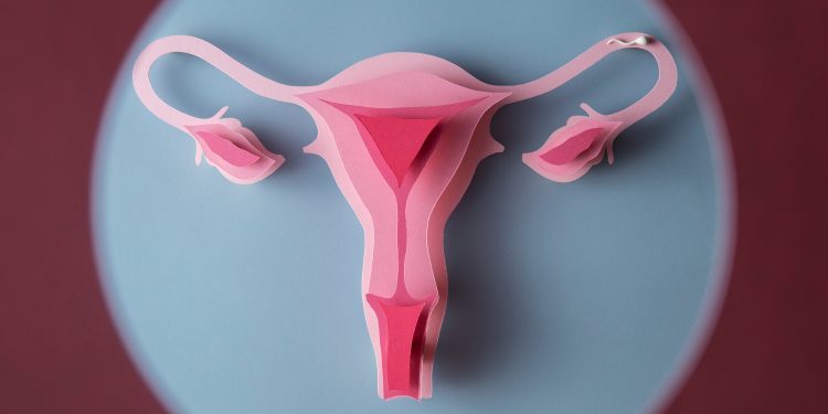 Understanding Uterine Fibroids: Navigating Symptoms, Treatment, and Empowerment