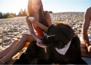 Solar Eclipse With Pets: Safety Concerns & Health Issues.