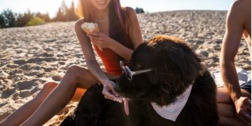 Solar Eclipse With Pets: Safety Concerns & Health Issues.