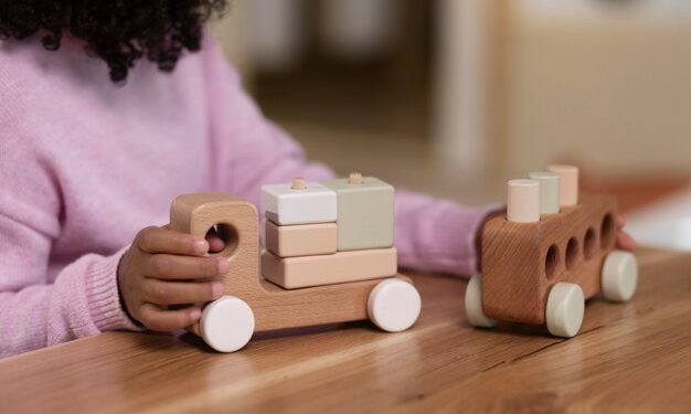 Unlocking Self-Directed Learning: How Montessori Toys Foster Independent Play